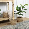 Northlight Set of 3 Braid and Twist Woven Seagrass Storage Baskets 9.75" - 2 of 4
