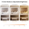 PAGED Makeup Vanity Desk with Lights Elegant Vanity Desk with Socket, Hairdryer Shelving, Mirror, Drawer for Bedroom, Powder Room - 3 of 4