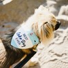 Pavilion Gift Company - Lake Dog - 7" x 5" Canvas Slip on Pet Bandana - Pet Apparel Accessories - 3 of 4
