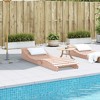 vidaXL Sun Lounger Natural wood Solid Douglas fir wood 80.7 x 23.6 in - 3 of 4
