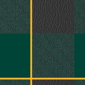 oakland athletics