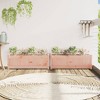 vidaXL Garden Planters 2 pcs Solid Wood Douglas - 3 of 4