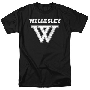 Men's Wellesley College Official Distressed Primary Logo T-Shirt - 1 of 4