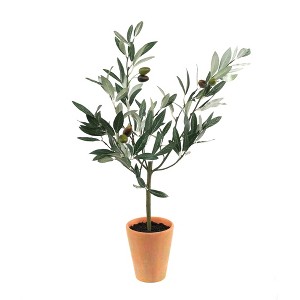 Melrose Potted Olive Tree 22"H - 1 of 1