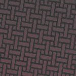 washington state cougars