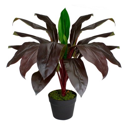 Northlight 23" Red and Green Artificial Dracaena Potted Plant Home Decor