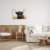Stupell Industries Black Highland Cow Portrait, 30" x 24" - 2 of 4