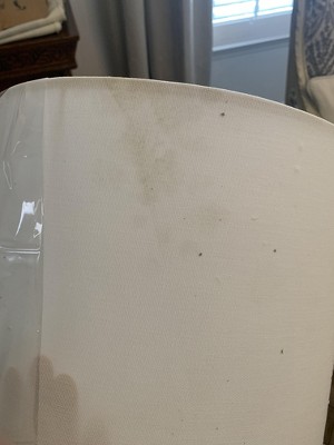 Guest review image 2 of 5, zoom in
