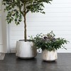 LuxenHome Set of 2 Concrete Round Planters Outdoor Indoor Plant Pots Rustic Wood Grain Texture Tapered Planter Garden Pots Set 15.5" & 11" White - 2 of 4
