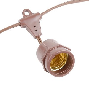 Novelty Lights Edison Outdoor String Lights with 25 Suspended Sockets Brown Wire 37.5 Feet - 1 of 4