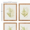 Plum & Post Framed Fern Study, Set Of 6 - 2 of 3