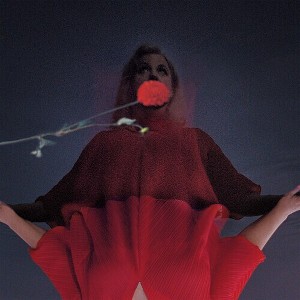 Amy Millan - I Went to Find You - Pink () (Vinyl) - 1 of 1