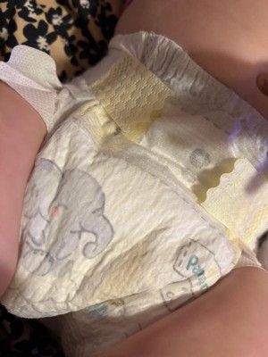 Guest review image 4 of 4, zoom in