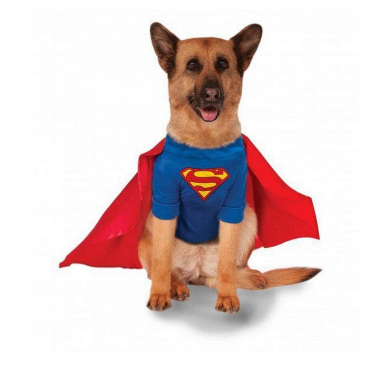 DC Comics Superman - Big Dogs Pet Costume, 1 of 3