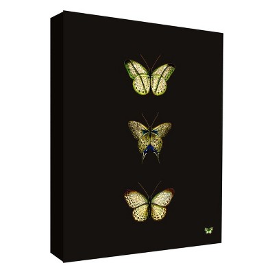 11" x 14" Butterfly Portrait I Decorative Wall Art - PTM Images