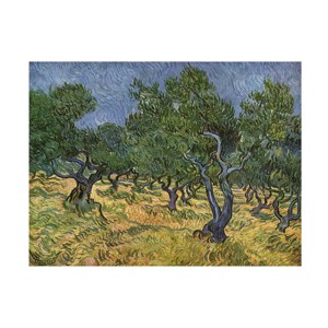 Trademark Fine Art -Vincent Van Gogh 'Olive Orchard Midjune' Canvas Art - 1 of 4