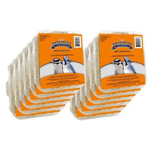 Armstrong Wild Bird Food Bird Grub Suet Cake, 10.6oz (Pack of 12) - 1 of 4