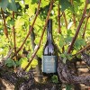 Stoller Family Estate Chardonnay - 750ml Bottle - 3 of 4