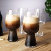 Spiegelau Craft Beer Stout Glass Set - 2 of 4