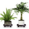 iMountek"4-Piece Rolling Plant Caddy with 360° Swivel Wheels, 187lbs Capacity, for Indoor & Outdoor Use"Coffee - 4 of 4