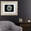 Trademark Fine Art - Brian Carson Backyard Flowers 71 Matted Framed Art - 2 of 4