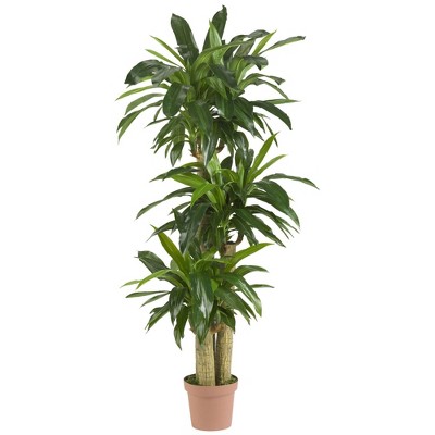 4.7ft Artificial Corn Stalk Dracaena Plant in Pot - Nearly Natural