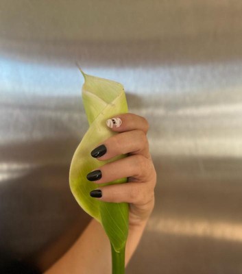 Guest review image 1 of 5, zoom in