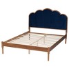 Baxton Studio Hadria Mid-Century Modern Navy Blue Velvet and Walnut Brown Finished Wood Queen Size Platform Bed - 4 of 4