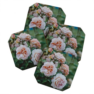 Hello Twiggs Moody Roses II Set of 4 Coasters - Deny Designs
