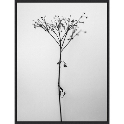 Amanti Art Amid the Flowers 13 by Teis Albers Canvas Wall Art Print Framed 18 x 24-in.