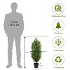 poetree 3/4/5/6 ft.Artificial Cedar Topiary Trees in Pots,Faux Greenery for Outdoor and Indoor - 4 of 4