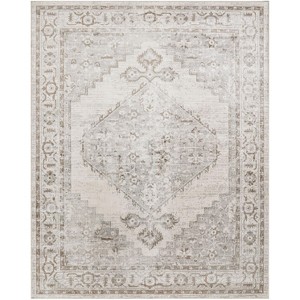 Nourison Washable Astra Vintage Persian Indoor Flatweave Area Rug - 1 of 4