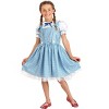 HalloweenCostumes.com Farm Girl Costume Dress for Girls | Dorothy Costumes - 4 of 4