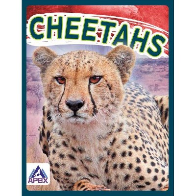 Cheetahs - by  Sophie Geister-Jones (Paperback)