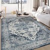 Acekool Machine Washable Vintage Area Rug, Distressed Non-Slip Soft Accent Carpet, Stain-Resistant, Low Pile, Blue, Size2x6 - 3 of 4