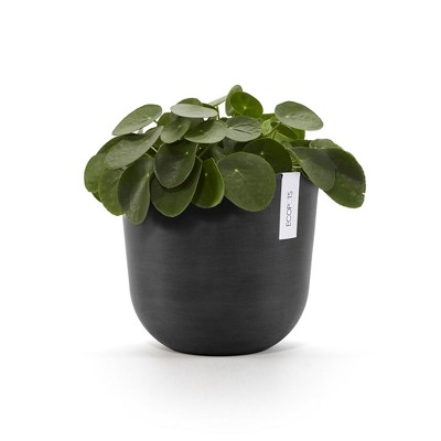 Dark Gray Round Recycled Plastic Indoor/Outdoor Planter