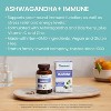 Himalaya Ashwagandha+ Immune with Ashwagandha, Elderberry, Zinc & Vitamin C for Active Immune Support, 60 Capsules, 1 Month Supply, Vegan, Gluten Free - 3 of 4