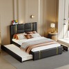 Queen Size Upholstered Bed Platform Bed with Trundle Bed, 2 Drawers, Night Light and USB Charger, Beige/Black-ModernLuxe - 2 of 4