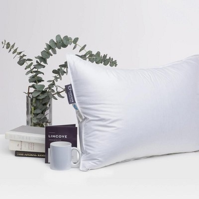 Lincove Standard White Cotton Down Feather Pillows, Set of 2