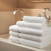 GFZ Collection Cotton Blend Towels By Rifz Textiles - 2 of 4
