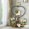 Artloge 5 Tiers Heart-shape Plant Rack Industrial Metal Plant Display Stand Floor Flower Pot Shelf for Home Patio Garden - 4 of 4