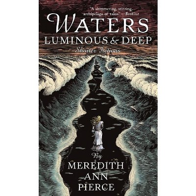 Waters Luminous and Deep - by  Meredith Ann Pierce (Paperback)