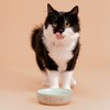 Mason Cash: Meow Cat Bowl, 5.1", 10.1oz, Green & Tan, Food & Water Dish - 3 of 4
