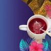 Cederberg Tea Company Hibiscus Herbal Tea, USDA Organic, Non-GMO, Eco-Friendly and Caffeine Free - 100 Compostable Tea Bags - 3 of 4
