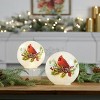 LED Cardinal Pine Globe (Set of 2) - 2 of 4