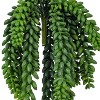 13" Artificial Donkey's Tail Bush - Vickerman: Indoor/Outdoor Decorative Faux Greenery - 2 of 2