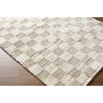 Hauteloom Belita Living Room, Bedroom Area Rug - Contemporary - High Pile