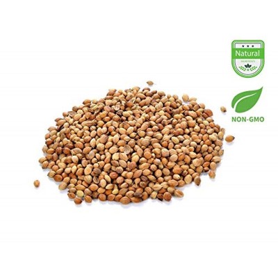 Aiva Coriander Seeds (Sabut Dhaniya)