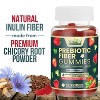 Fiber Gummies for Adults, Daily Prebiotic Fiber Supplement 4g - Digestive Health - 60 Gummies By Nature's Gummies - 2 of 4