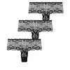 Women's Plus Size Adore 3 Pack Lace Shorty - multi | CITY CHIC - 3 of 4